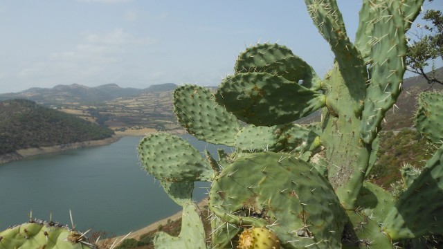 Sardinien-2012-(51)